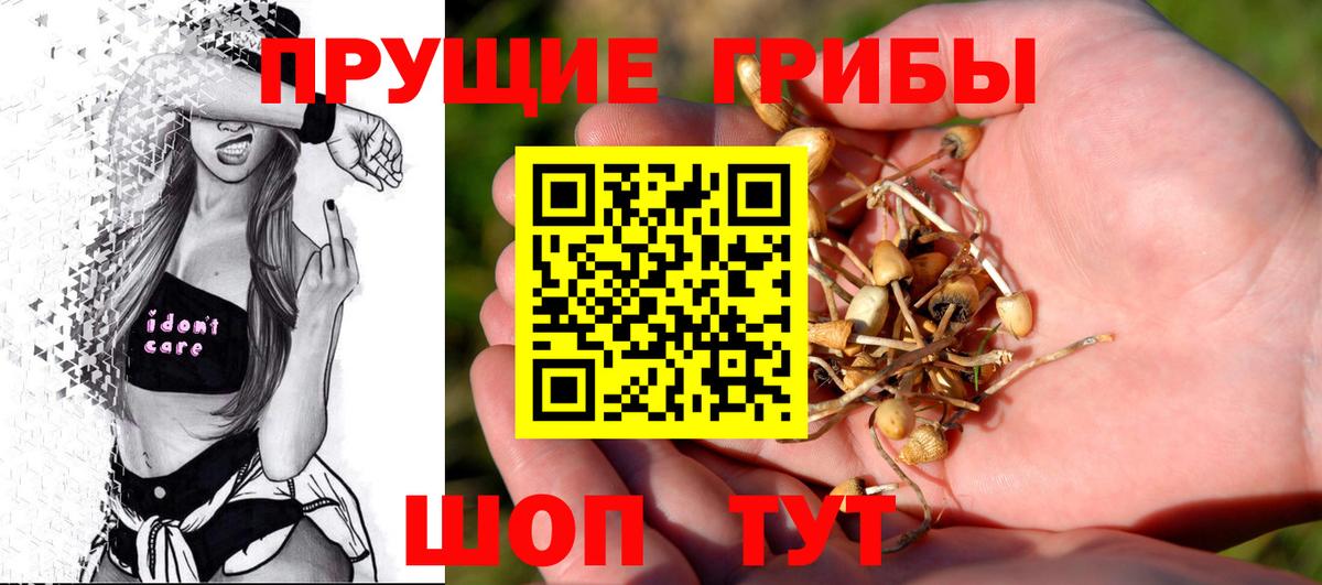 купить наркотик  Галлюциногенные грибы MAGIC MUSHROOMS  Альметьевск  Вход с VPN  Галлюциногенные грибы Psilocybine cubensis 