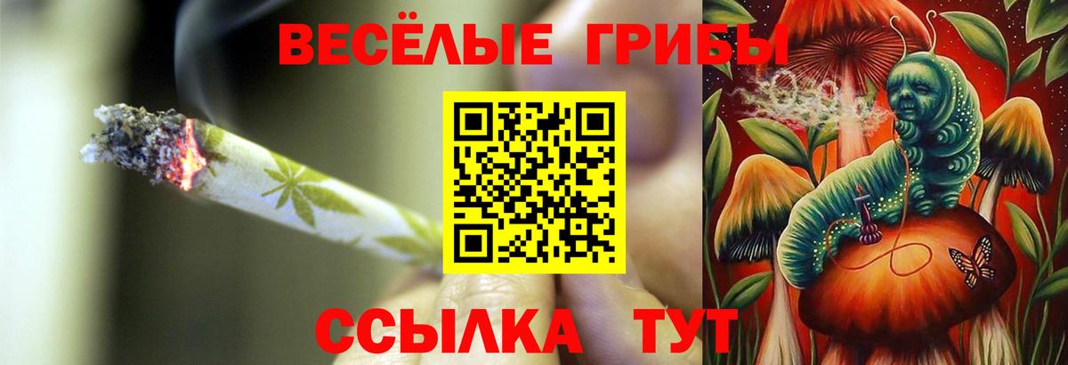 Галлюциногенные грибы мухоморы Альметьевск